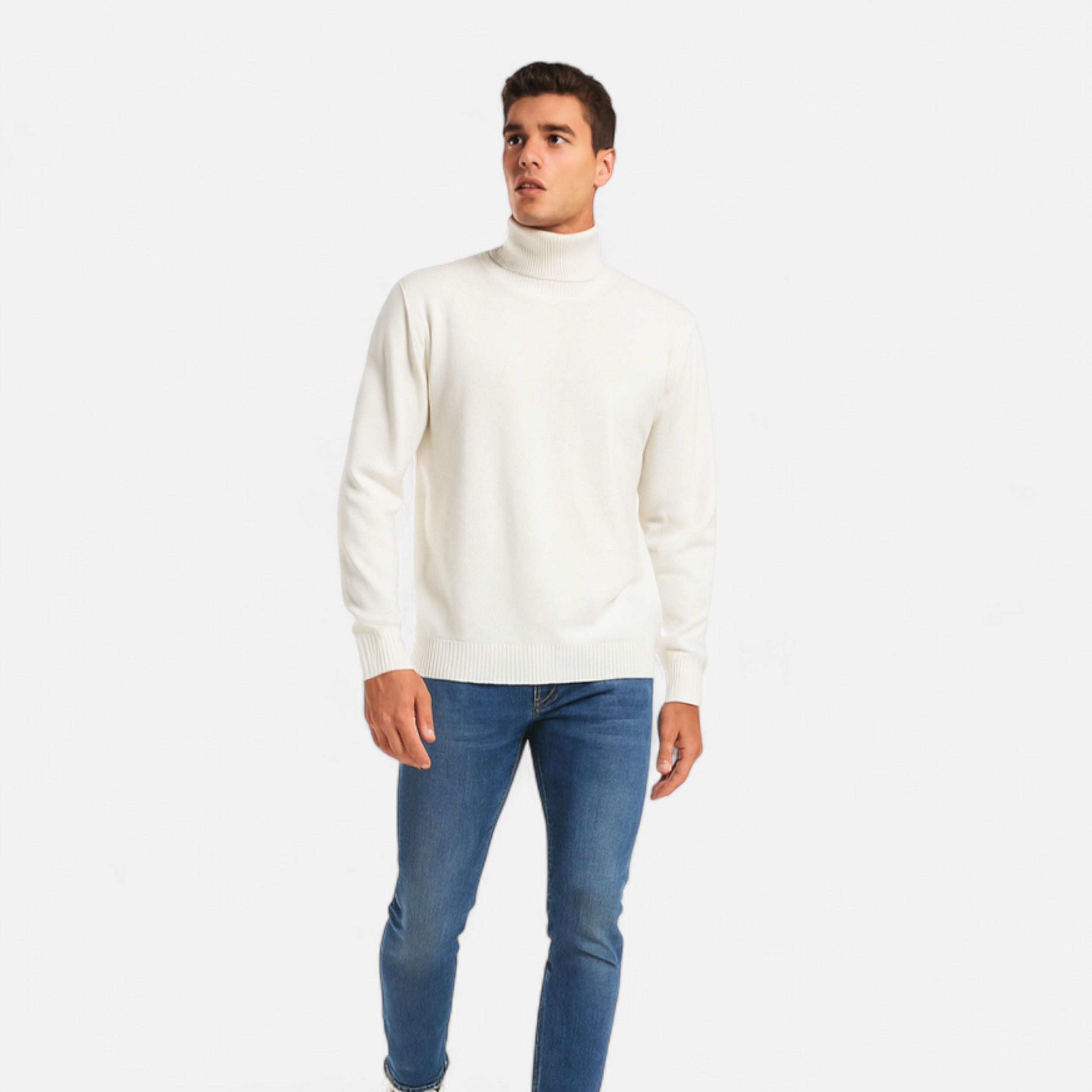 Vitrenzomode | Men’s Knitted Polyester Slim Fit Turtleneck Sweater